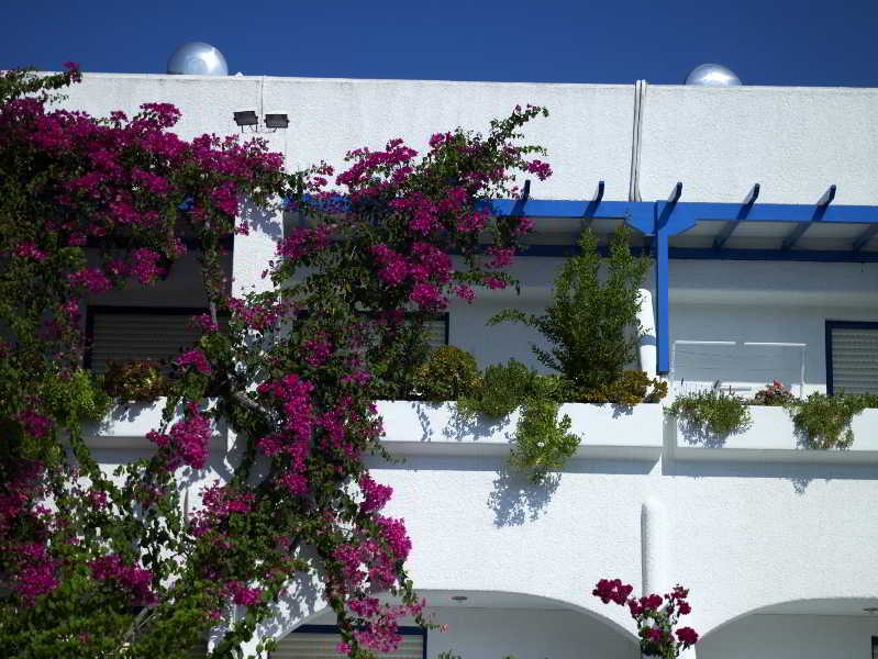Ninetta'S Studios Poros Town Екстериор снимка